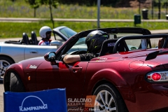 IMG_4662-1