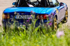 IMG_4824-1