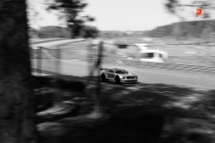 Z0A0331