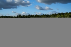 DSC01939