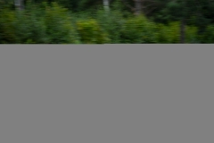DSC03153
