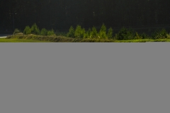DSC05637